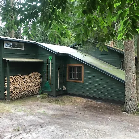 Nest In The Forest With Tree House * Bielefeld