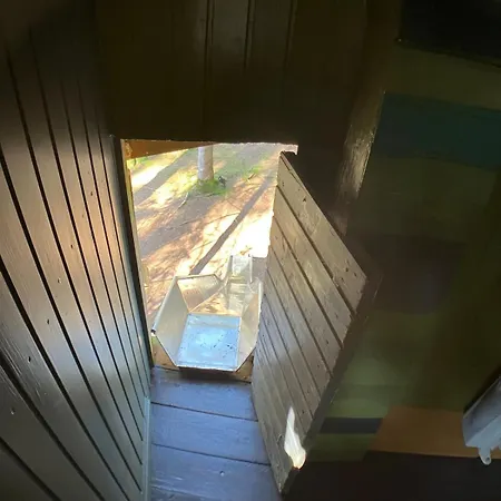 Nest In The Forest With Tree House Bielefeld