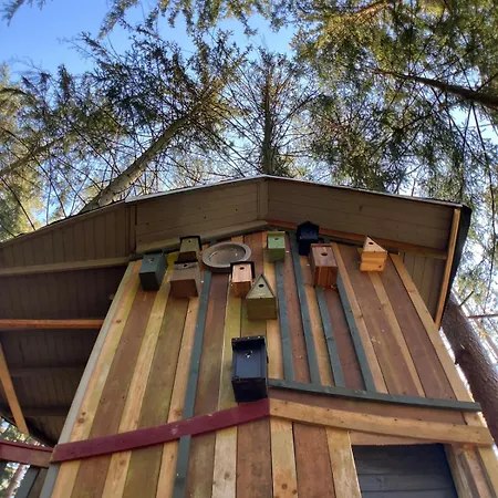Nest In The Forest With Tree House * Bielefeld