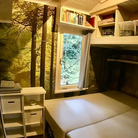 Nest In The Forest With Tree House Vakantiehuis Bielefeld