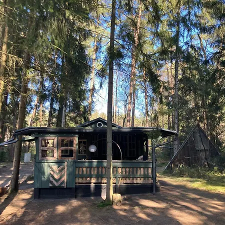 Nest In The Forest With Tree House * Bielefeld