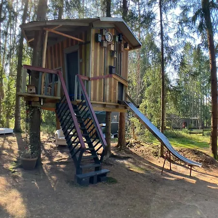 Nest In The Forest With Tree House *