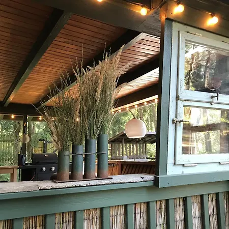 Nest In The Forest With Tree House