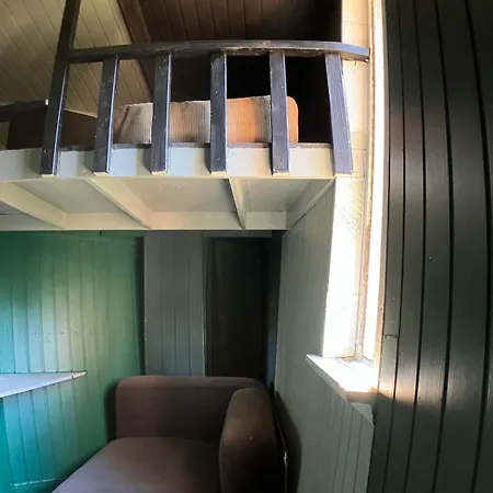 Nest In The Forest With Tree House