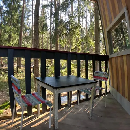 Vakantiehuis Nest In The Forest With Tree House Bielefeld