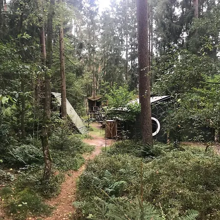 Nest In The Forest With Tree House Vakantiehuis *