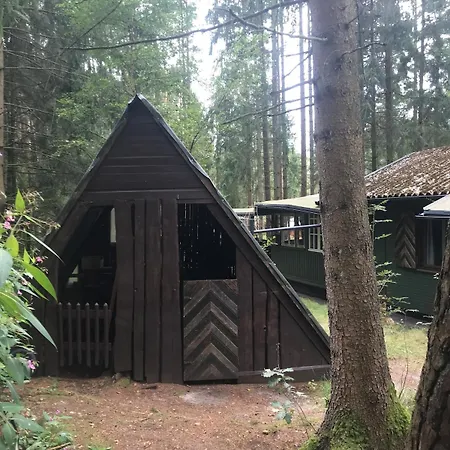 Nest In The Forest With Tree House Bielefeld