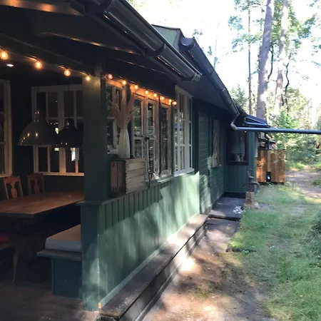 Nest In The Forest With Tree House