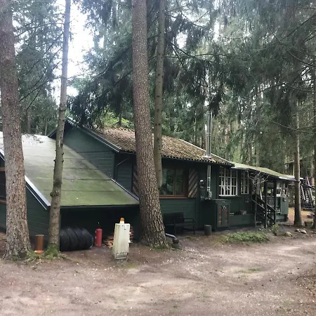 Nest In The Forest With Tree House Vakantiehuis *