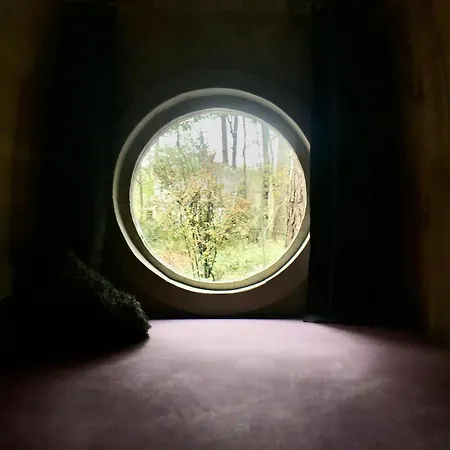 Nest In The Forest With Tree House Bielefeld