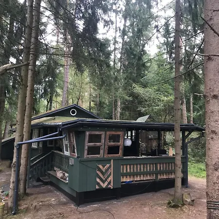 Vakantiehuis Nest In The Forest With Tree House