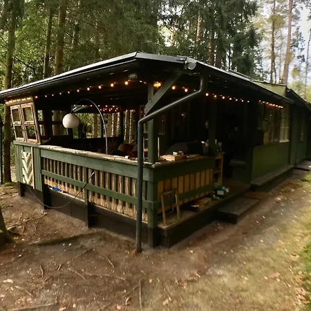 Vakantiehuis Nest In The Forest With Tree House Bielefeld