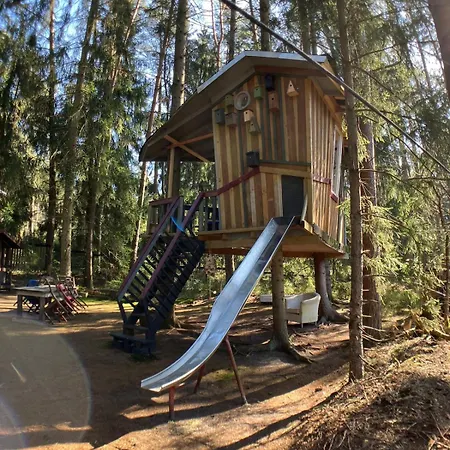 Vakantiehuis Nest In The Forest With Tree House *