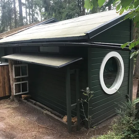 Vakantiehuis Nest In The Forest With Tree House *